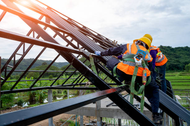 Best Local Roofing Companies  in Conehatta, MS